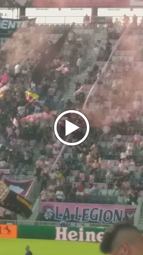 Stadium «Lockhart Stadium», reviews and photos, 1350 NW 55th St, Fort Lauderdale, FL 33309, USA