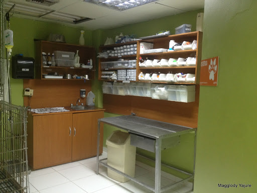 Consultorio Veterinario Magglody Yajure
