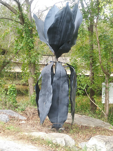 Nature Preserve «Glendale Shoals Preserve», reviews and photos, Emma Cudd Rd, Spartanburg, SC 29302, USA