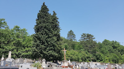Cimetière de Saint-Rome-de-Cernon à Saint-Rome-de-Cernon