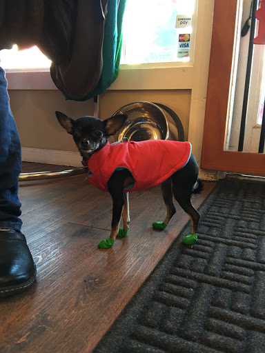 Pet Supply Store «Republic of Paws», reviews and photos, 2411 W Colorado Ave, Colorado Springs, CO 80904, USA