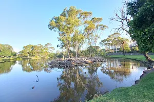 Coburg Lake Reserve image