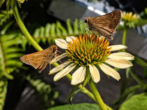 Home Improvement Store «The Home Depot», reviews and photos, 2421 Old Taylor Rd, Chesapeake, VA 23321, USA