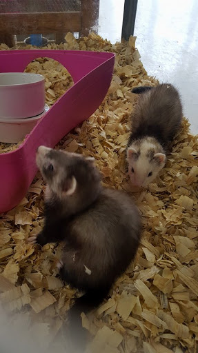 Pet Store «Tanks Pet Supply», reviews and photos, 628 S Main St, Princeton, IL 61356, USA