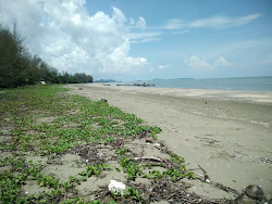 Photo de Samran Beach II avec un niveau de propreté de assez propre