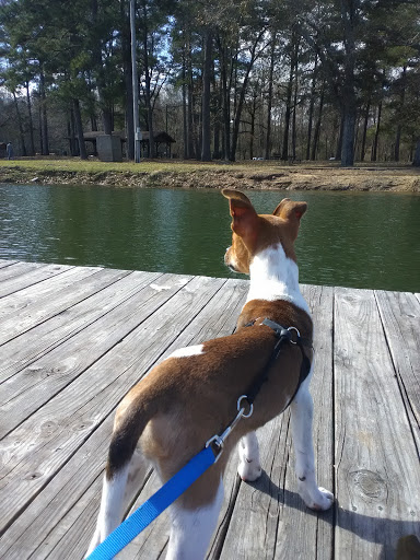 Public Golf Course «Lagoon Park Golf Course», reviews and photos, 2855 Lagoon Park Dr, Montgomery, AL 36109, USA