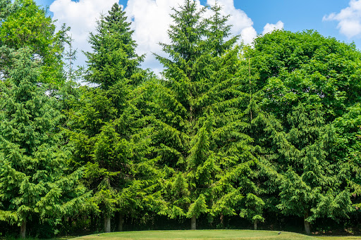 Golf Club «Pine Meadow Golf Club», reviews and photos, 1 Pine Meadow Ln, Mundelein, IL 60060, USA