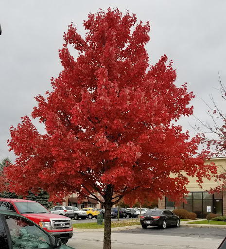 Cafe «Suzies Cafe & Catering», reviews and photos, 1050 Southpoint Cir, Valparaiso, IN 46385, USA