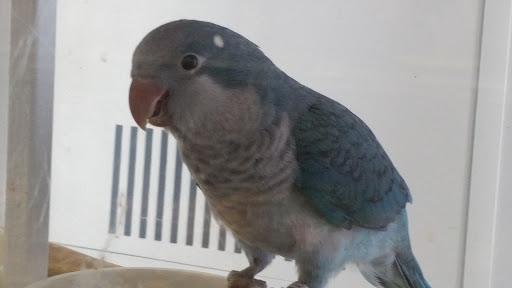 Pet Supply Store «Petco Animal Supplies», reviews and photos, 5631 Grove Blvd, Hoover, AL 35226, USA