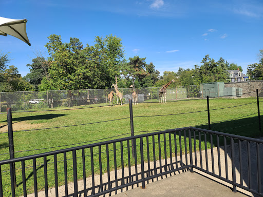 Zoo «The Buffalo Zoo», reviews and photos, 300 Parkside Ave, Buffalo, NY 14214, USA