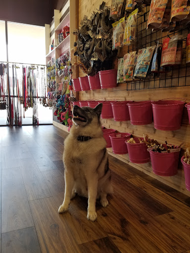 Pet Groomer «Woof Gang Bakery Rockwall», reviews and photos, 832 Steger Towne Rd, Rockwall, TX 75032, USA