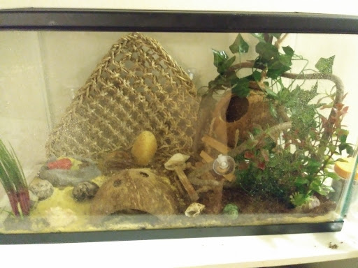 Pet Store «Feed Rite Pet Shop & Supply», reviews and photos, 11760 Belleville Rd, Belleville, MI 48111, USA