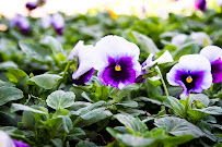 TurfWorks - Photo 7 - Car repair in Oklahoma City, OK, Oklahoma City