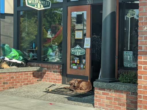 Outdoor Sports Store «Wildernest Outdoor Store», reviews and photos, 310 Winslow Way E, Bainbridge Island, WA 98110, USA