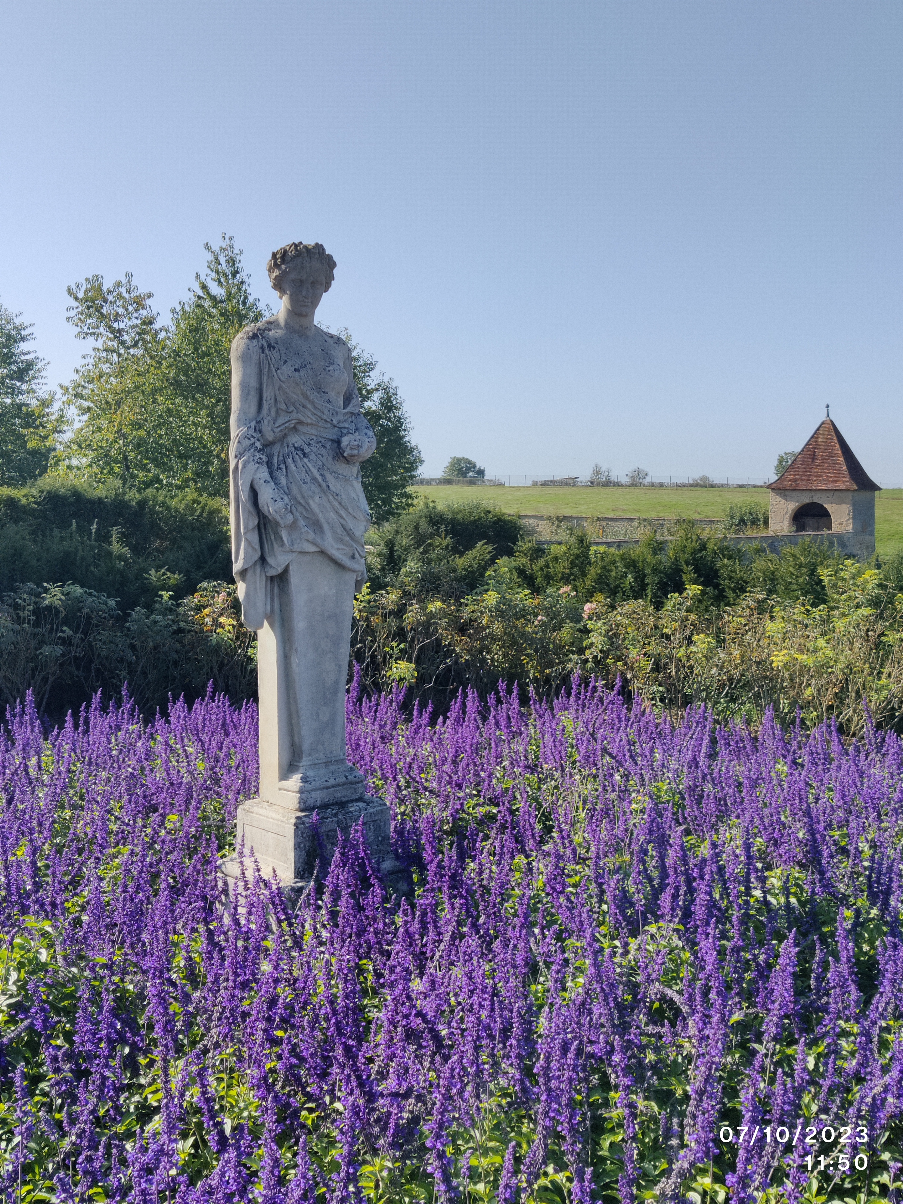 Photo n° 4 de l'avis de Éirann.u fait le 13/10/2023 à 11:07