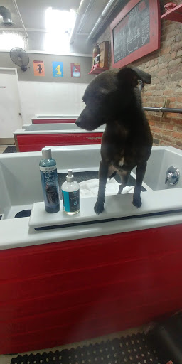 Pet Store «Firehouse Pet Shop & Grooming», reviews and photos, 17 S Wenatchee Ave, Wenatchee, WA 98801, USA