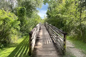 New Tampa Nature Park image