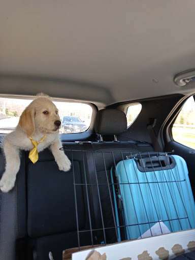 Pet Store «Animal House», reviews and photos, 7869 Hamilton Ave, Cincinnati, OH 45231, USA