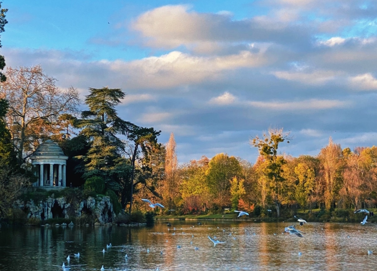 Photo n° 4 de l'avis de Alfred.i fait le 15/03/2024 à 20:56