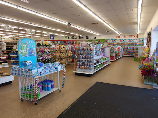 Dollar Store «Dollar Tree», reviews and photos, 4015 Holcomb Bridge Rd #500, Norcross, GA 30092, USA