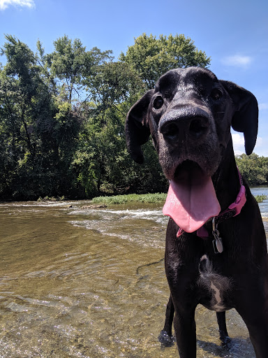 Dog Park «Murfreesboro Bark Park», reviews and photos, 1540 W College St, Murfreesboro, TN 37130, USA