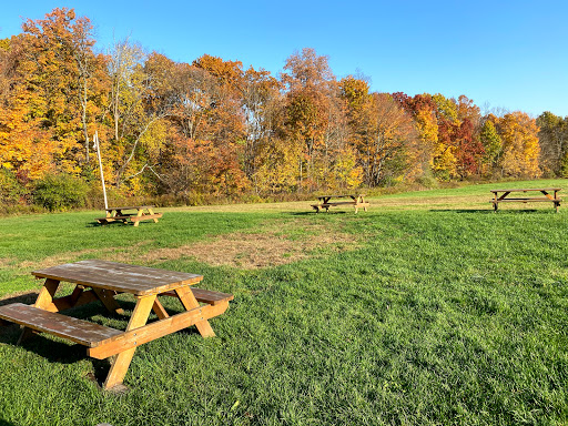 Winery «Baldwin Vineyards», reviews and photos, 176 Hardenburgh Rd, Pine Bush, NY 12566, USA