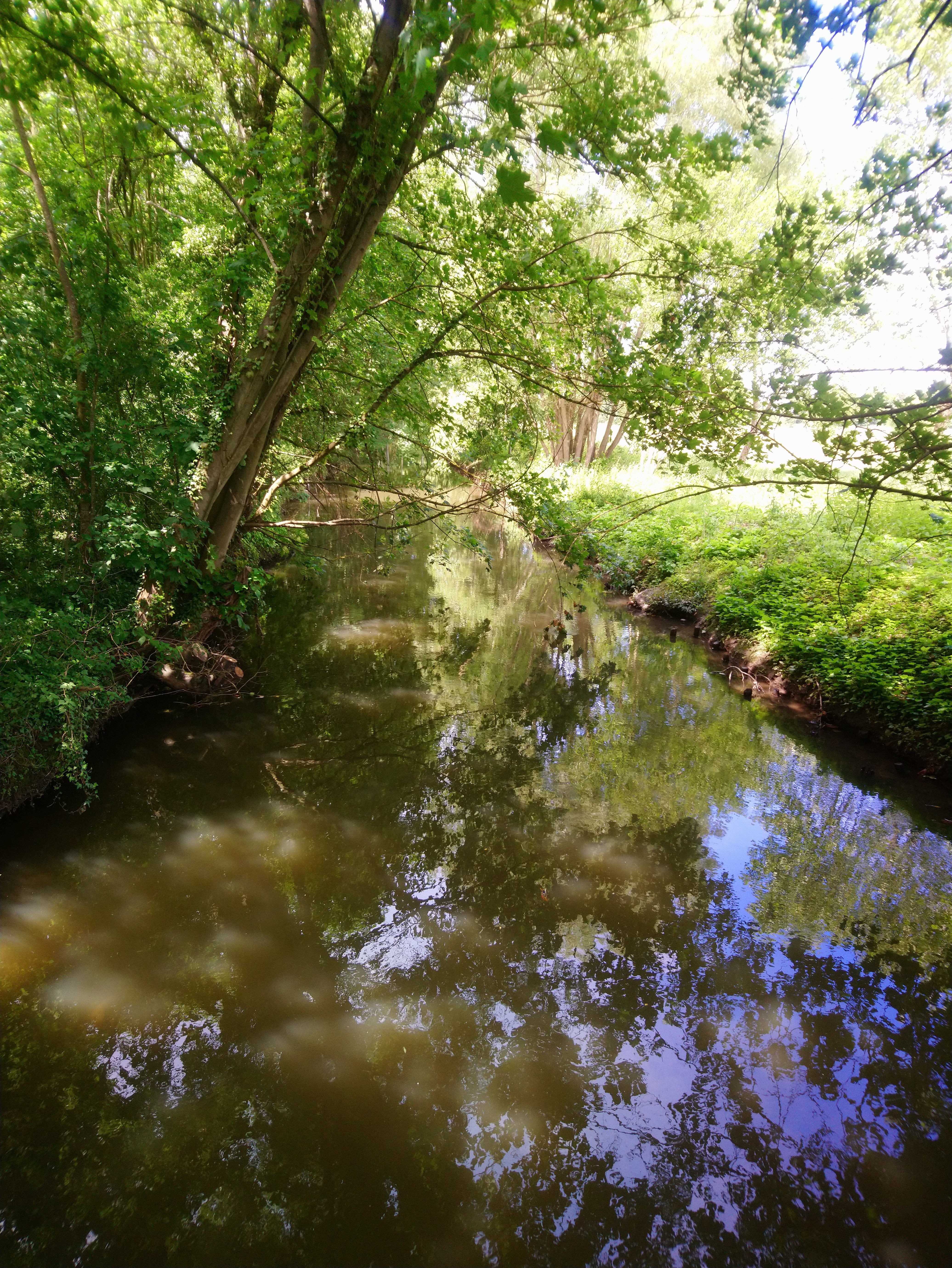 Photo n° 25 de l'avis de Lucien.e fait le 10/06/2019 à 14:26