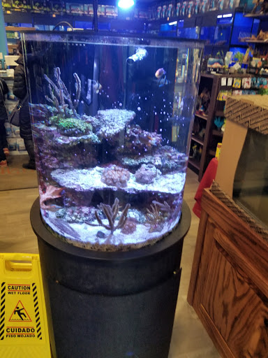 Tropical Fish Store «Aquatic Wildlife Co», reviews and photos, 70 Buckland Rd, South Windsor, CT 06074, USA