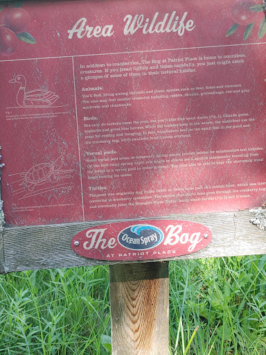 Nature Preserve «The Nature Trail and Cranberry Bog», reviews and photos, 252 Patriot Pl, Foxborough, MA 02035, USA