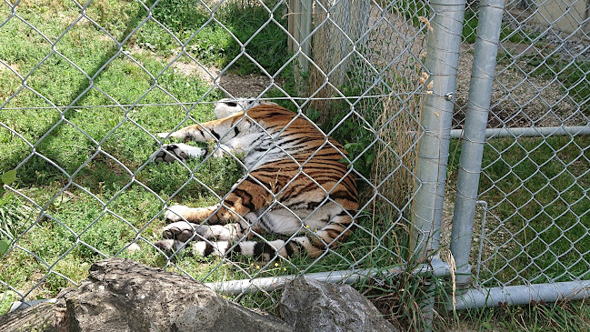 Kommentare und Rezensionen über Walter Zoo