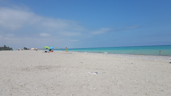 Plaža Almarda