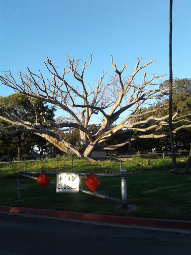 Park «Golden Hill Park», reviews and photos, 2590-2596 Golden Hill Dr, San Diego, CA 92102, USA