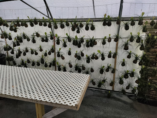 Landscape Designer «Santa Barbara Nursery», reviews and photos, 20425 SW 177th Ave, Miami, FL 33187, USA