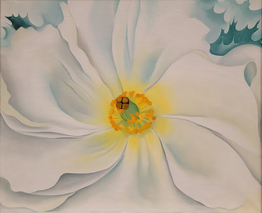 Museum «Museum of Fine Arts, Houston», reviews and photos, 1001 Bissonnet St, Houston, TX 77005, USA