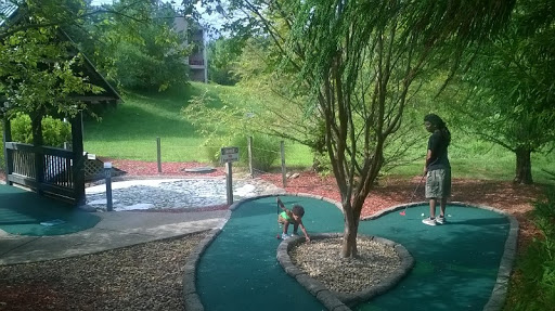 Resort «Apple Mountain Resort & Golf Club», reviews and photos, 901 Rock Ford Creek Rd, Clarkesville, GA 30523, USA
