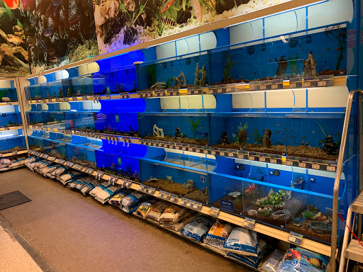 Pet Supply Store «PetSmart», reviews and photos, 3096 N Eastman Rd, Longview, TX 75605, USA