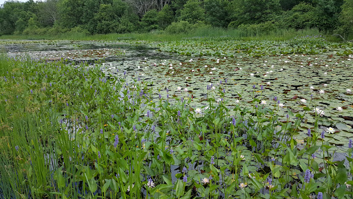 Nature Preserve «Wolf Creek Environmental Center», reviews and photos, 6100 Ridge Rd, Wadsworth, OH 44281, USA
