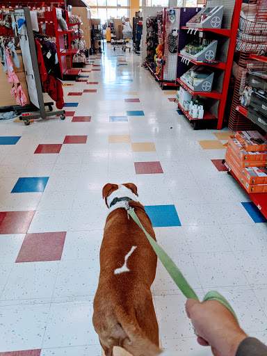 Pet Supply Store «Petco Animal Supplies», reviews and photos, 92 Cluff Crossing Rd, Salem, NH 03079, USA