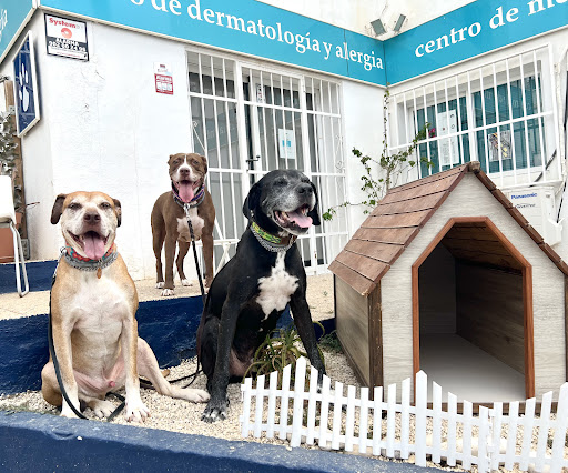 Althaia Clínica Veterinaria en Altea