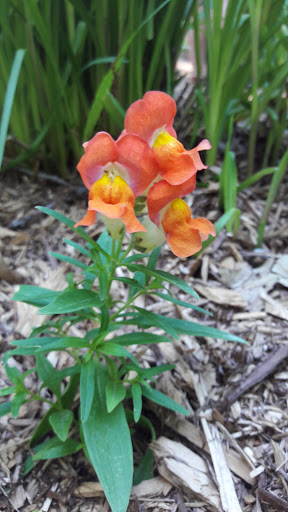 Nature Preserve «Iowa Raptor Center», reviews and photos, 2095 Mehaffey Bridge Rd NE, Solon, IA 52333, USA