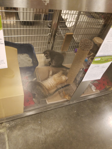 Pet Supply Store «PetSmart», reviews and photos, 6204 W Park Blvd, Plano, TX 75093, USA
