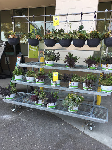 Home Improvement Store «The Home Depot», reviews and photos, 5401 Thornton Ave, Newark, CA 94560, USA