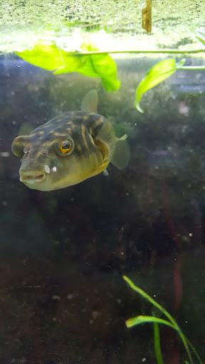 Tropical Fish Store «William Tricker Inc», reviews and photos, 7125 Tanglewood Dr, Cleveland, OH 44131, USA