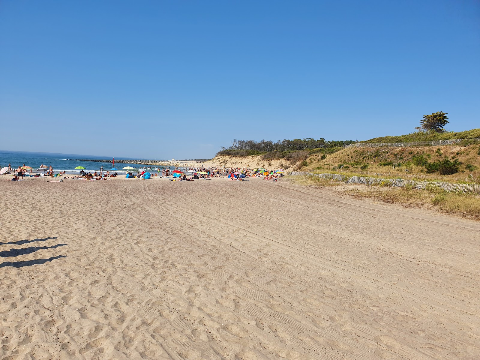 Foto di Plage de l'Amelie con costa lunga e dritta