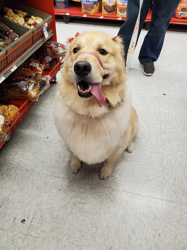 Pet Supply Store «Petco Animal Supplies», reviews and photos, 1333 Centennial Ave, Piscataway Township, NJ 08854, USA