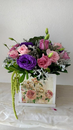 El Anturio – Lagos de Moreno