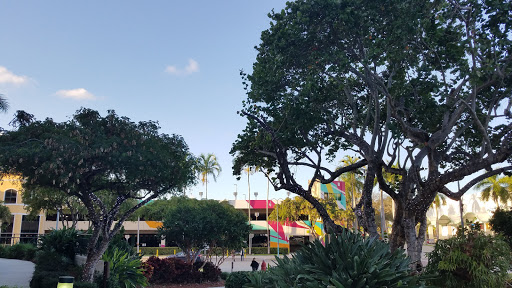 Performing Arts Theater «Broward Center for the Performing Arts», reviews and photos, 201 SW 5th Ave, Fort Lauderdale, FL 33312, USA