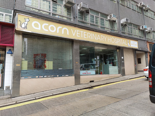 Acorn Veterinary Hospital