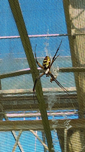 Animal Protection Organization «Butterfly Pavilion», reviews and photos, 6252 W 104th Ave, Westminster, CO 80020, USA