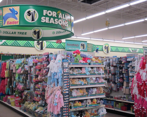 Dollar Store «Dollar Tree», reviews and photos, 1031 E Oakton St, Des Plaines, IL 60018, USA